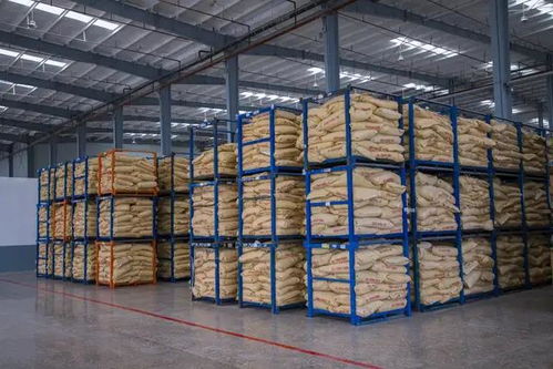 湖北省委書記一行考察卓寶石首生產基地，聚焦建筑材料產業高質量發展