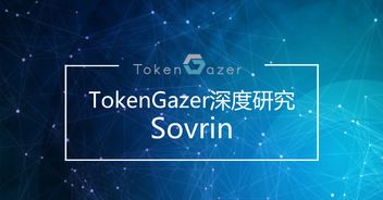 從TokenGazer深度研究看Sovrin 技術落地可期，但大規(guī)模推廣之路任重道遠